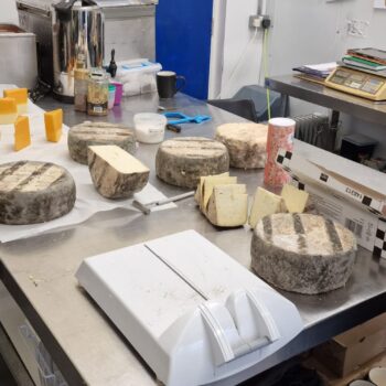 a selection of cheeses